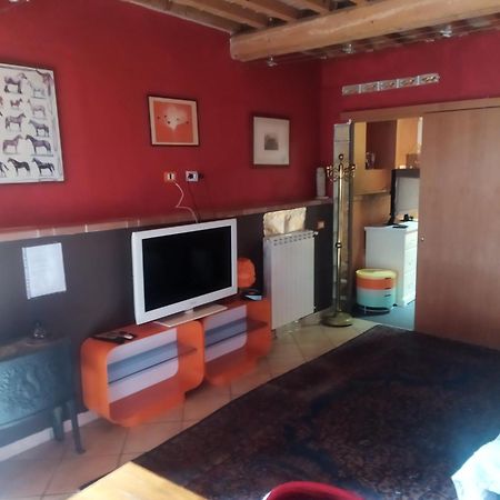 Loft 70 Appartement Montescudaio Buitenkant foto